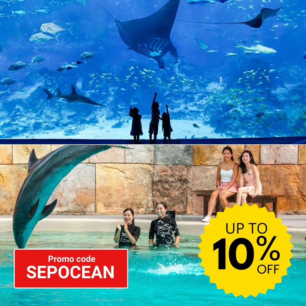 A non-peak deal for entry to the Singapore Oceanarium, which includes a dolphin connection experience.