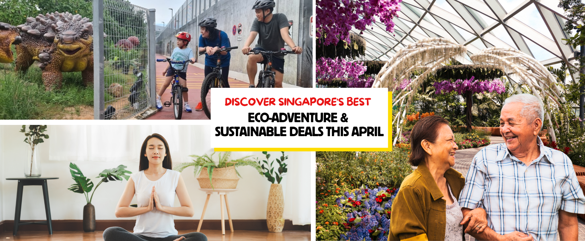 A group exploring Singapore’s lush greenery on an eco-friendly adventure, kayaking through mangroves and cycling through nature trails.