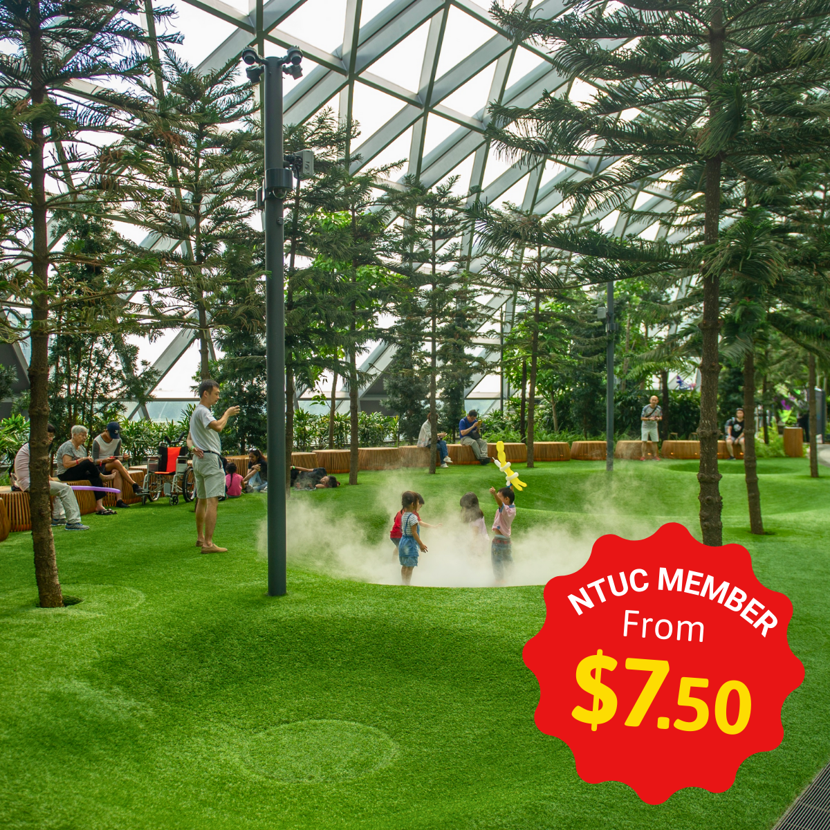 Stunning aerial view of Canopy Park with walking trails, mazes, and greenery
