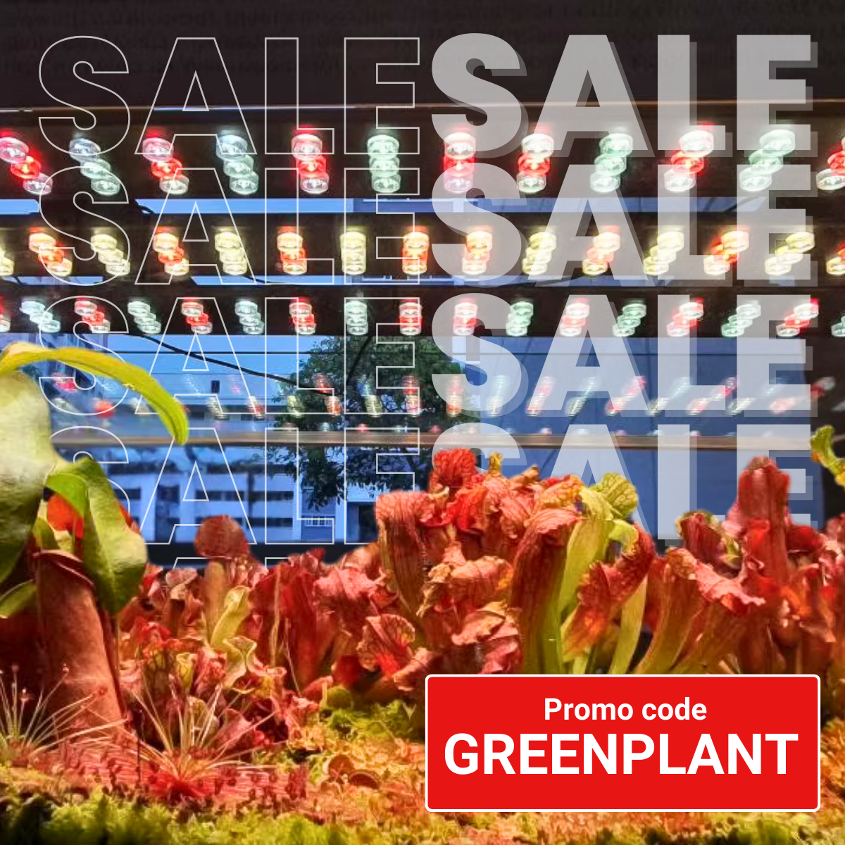 A child observing exotic carnivorous plants up close