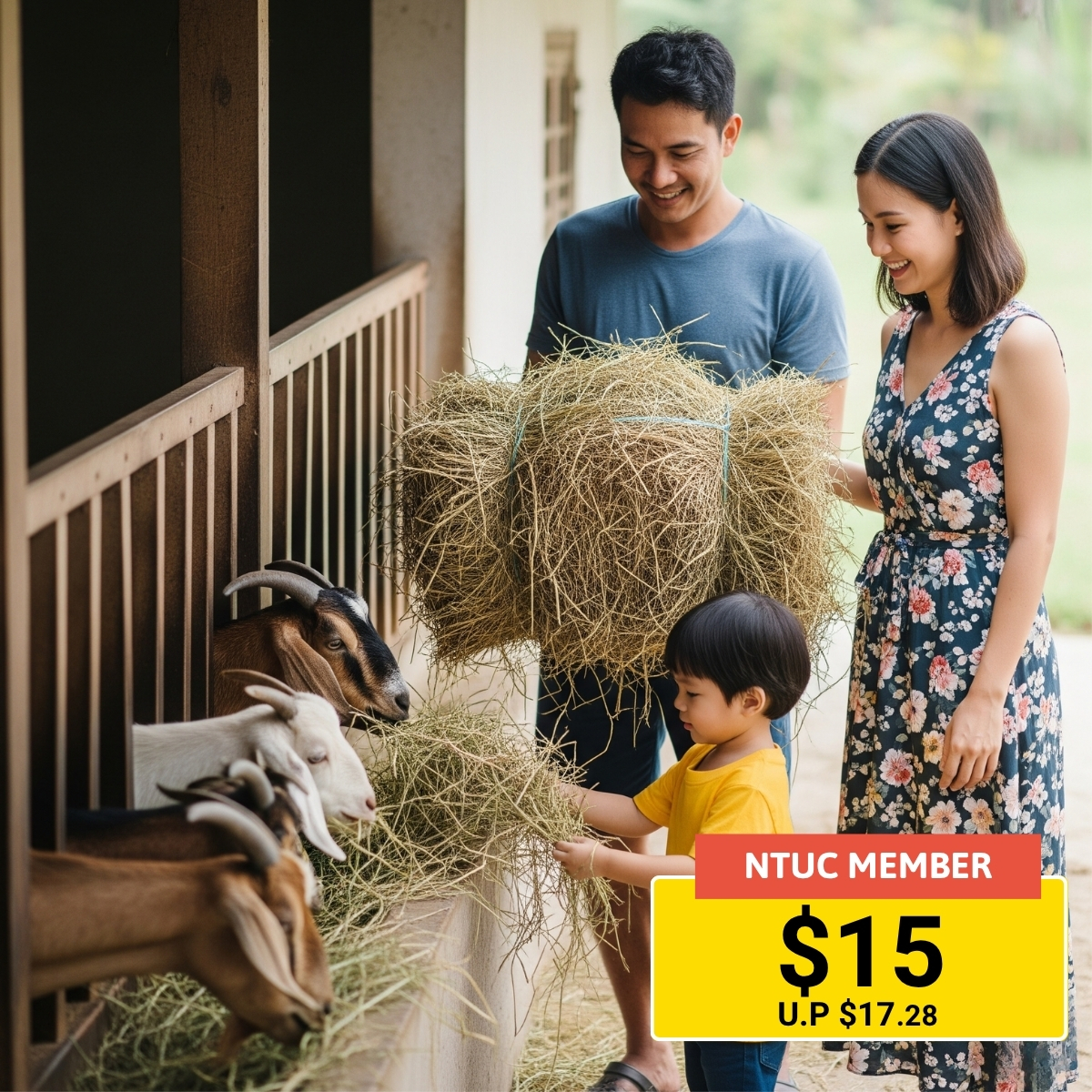 Family bundle admission tickets to Hay Dairies Goat Farm, offering farm tours and interactive animal experiences.