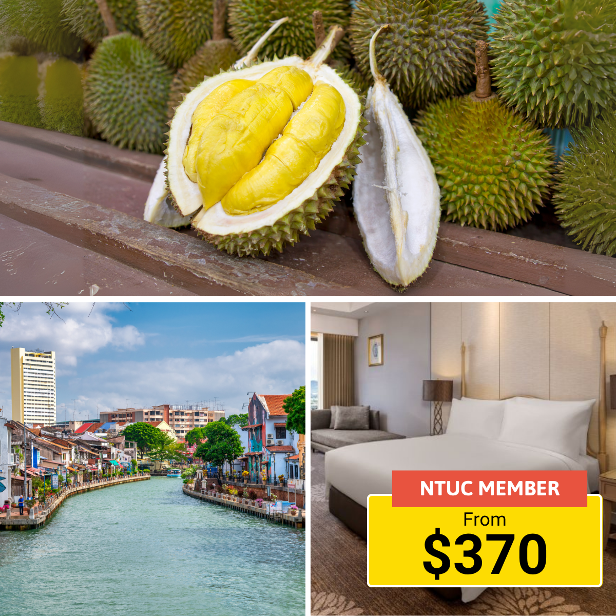 3D2N Malacca Heritage Tour with Durian Tasting and Chicken Rice