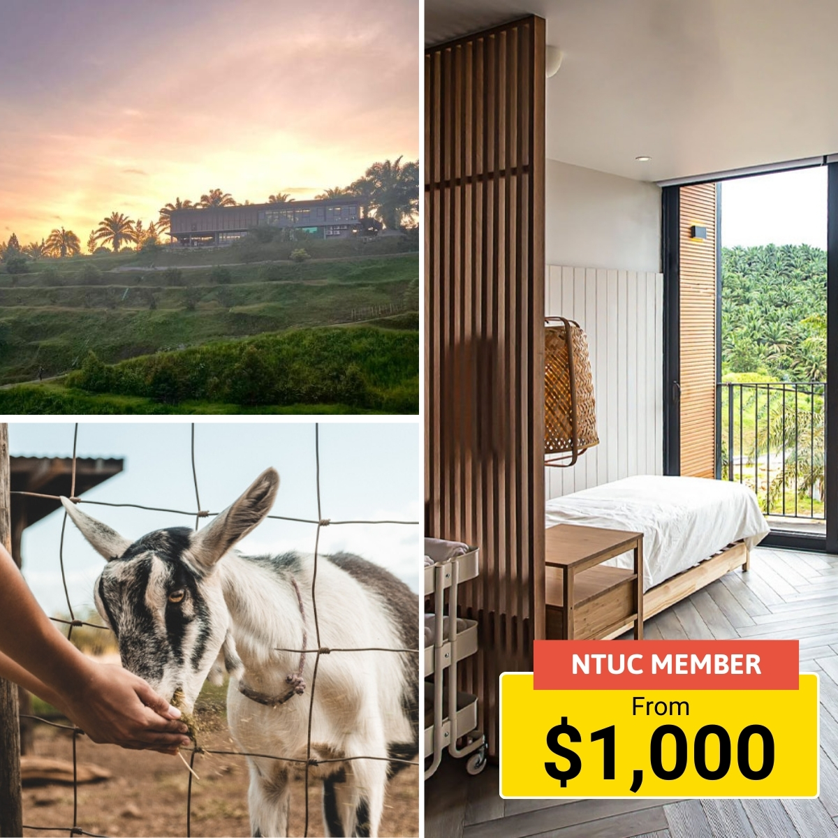 2-day, 1-night Kluang Talula Hill farm stay with scenic views and activities.