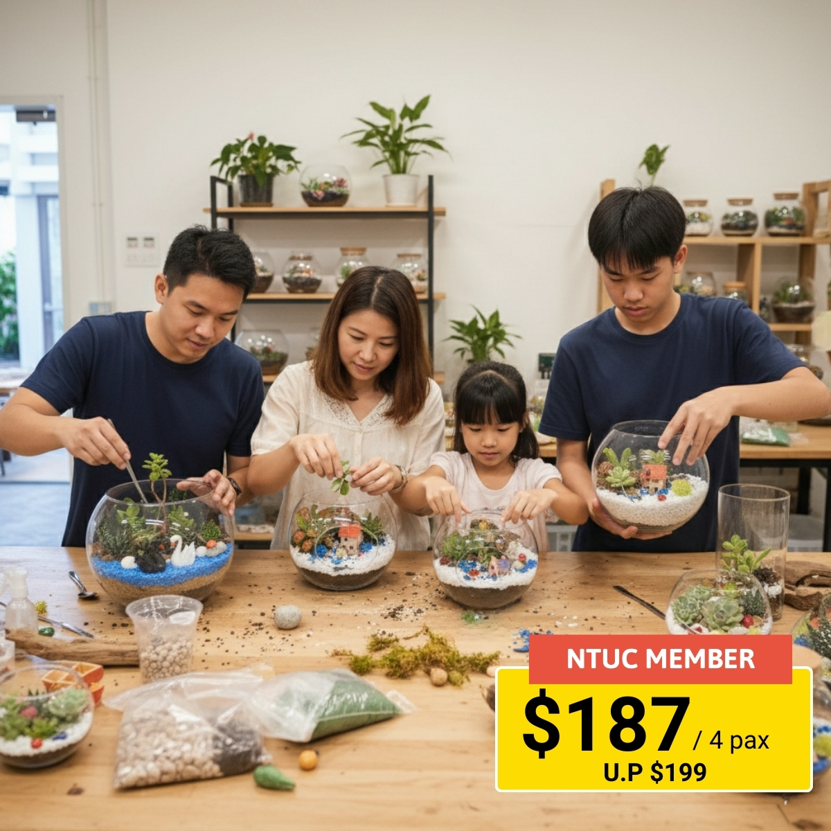Terrarium-building workshop for four combining creativity and relaxation.